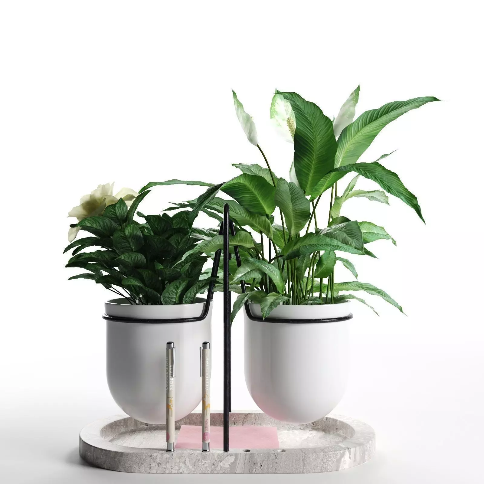 Peace Lily with Camellia 3D model