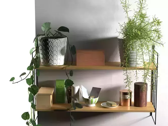 Plants and Vases on Shelf
