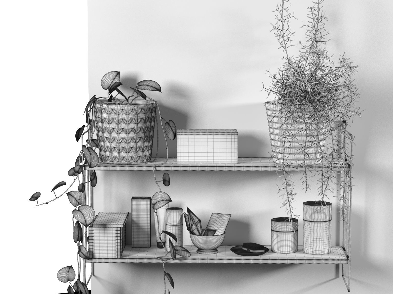 Plants and Vases on Shelf 3D model_1