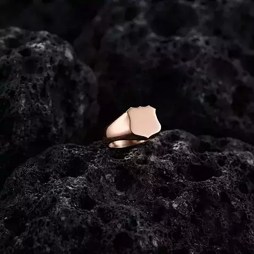 Jewelry Signet Ring v3 S Size