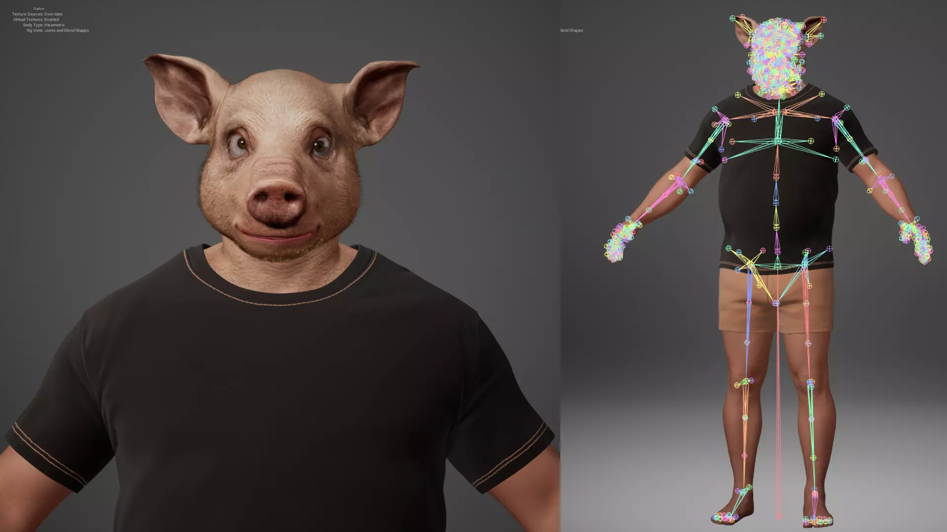 Pig Metahuman Character Low-poly 3D model