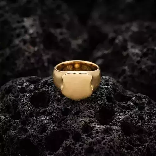 Jewelry Signet Ring v3 L Size