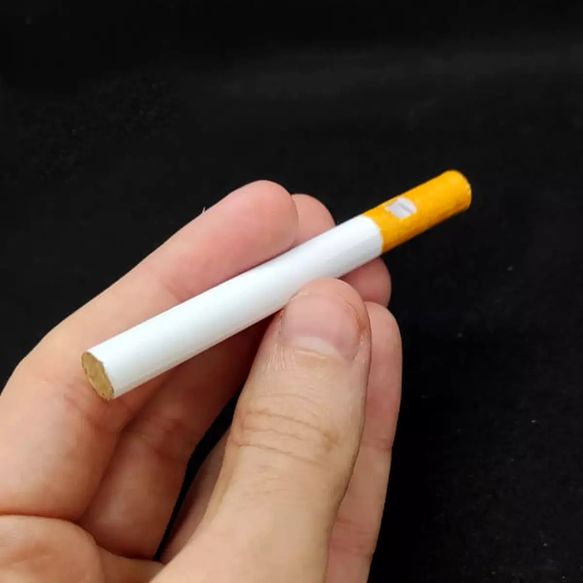 Fake Cigarette Whistle - Funny Prank Item 3D print model