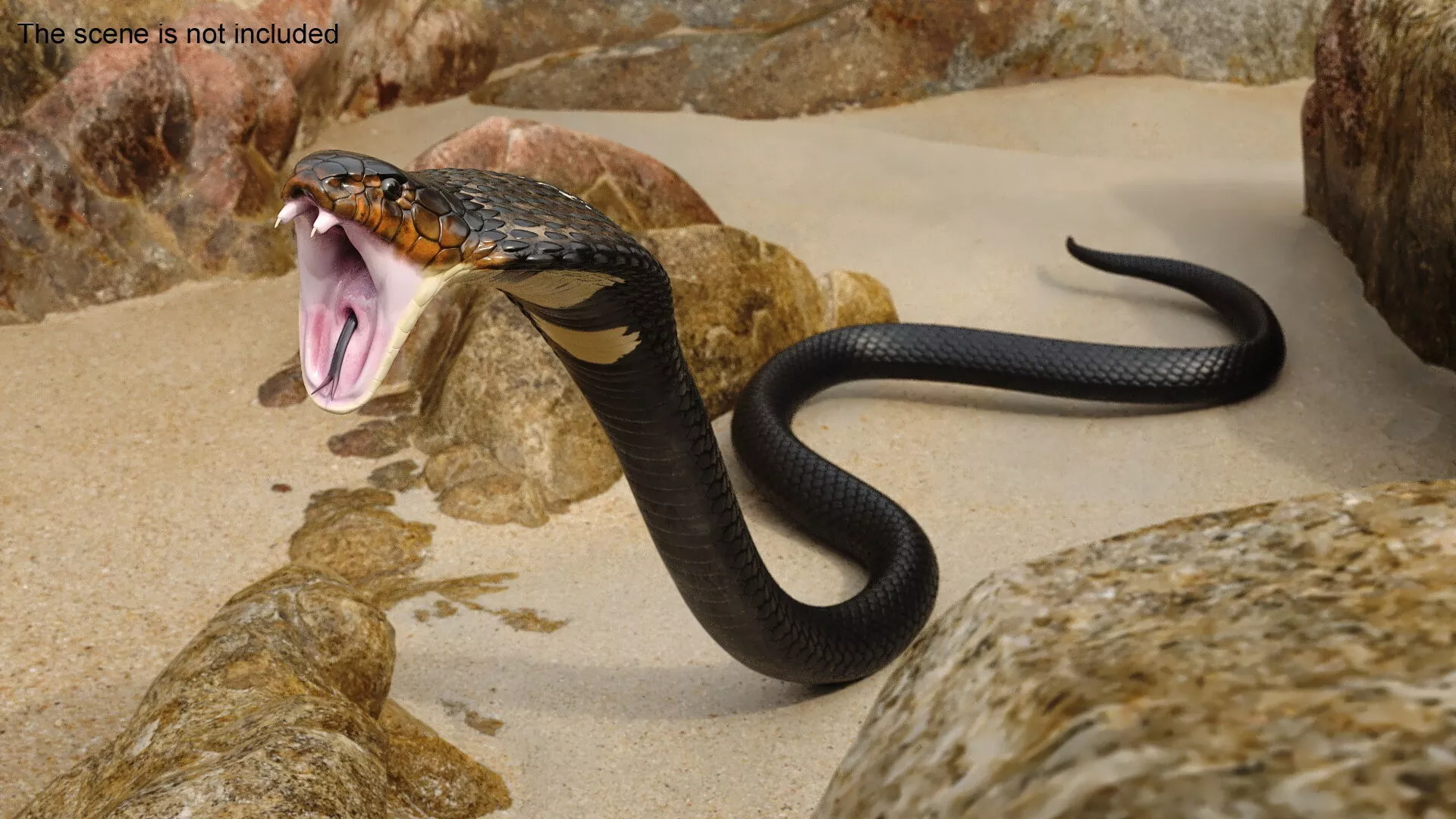 Attack Dark Skin Cobra Animated Rigged 3D model