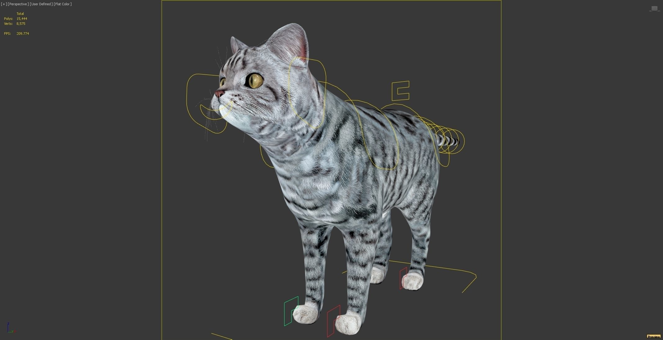 Cat - British  Silver Tabby - Young Kitten - Rigged Custom Low-poly 3D model_2