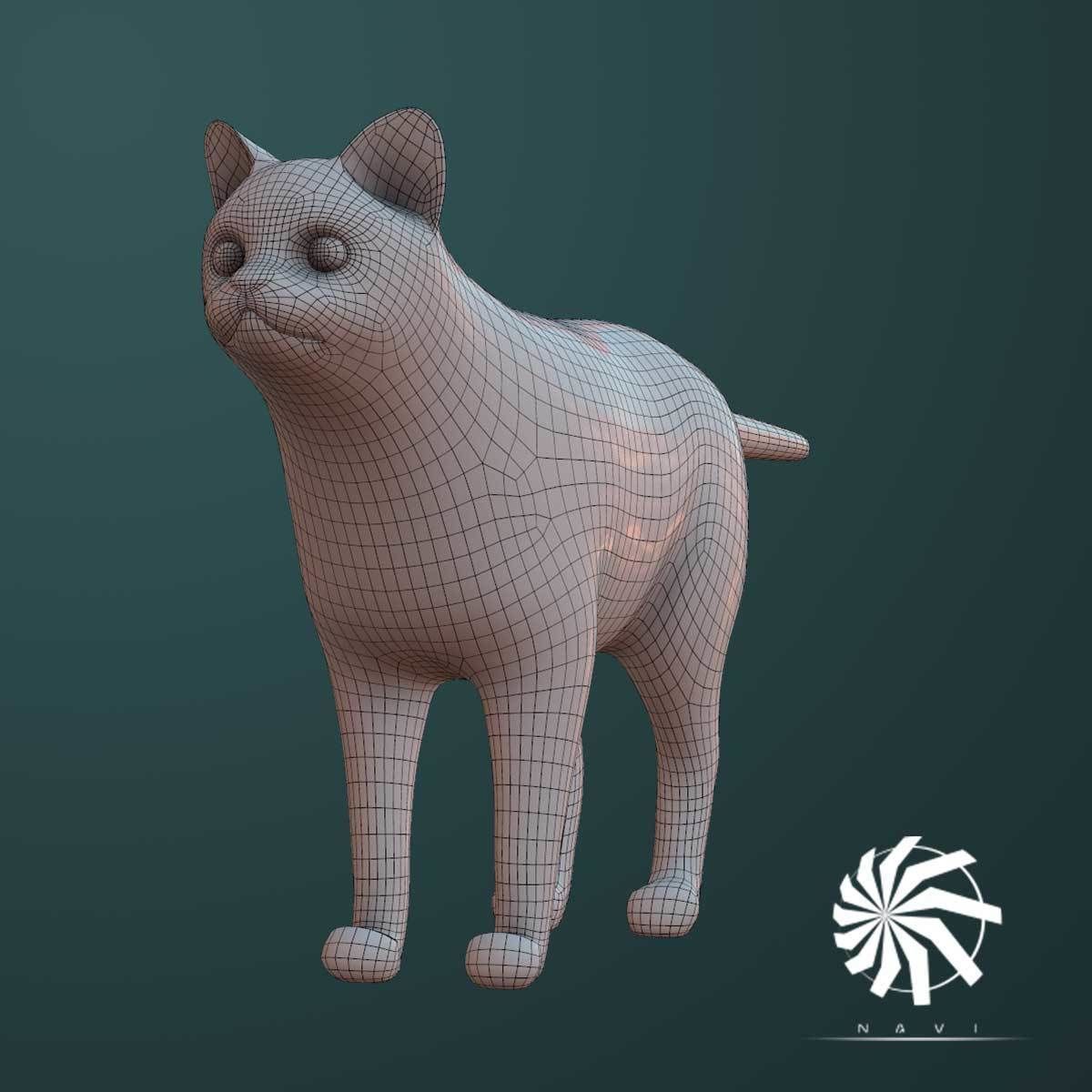 Cat - British  Silver Tabby - Young Kitten - Rigged Custom Low-poly 3D model_5