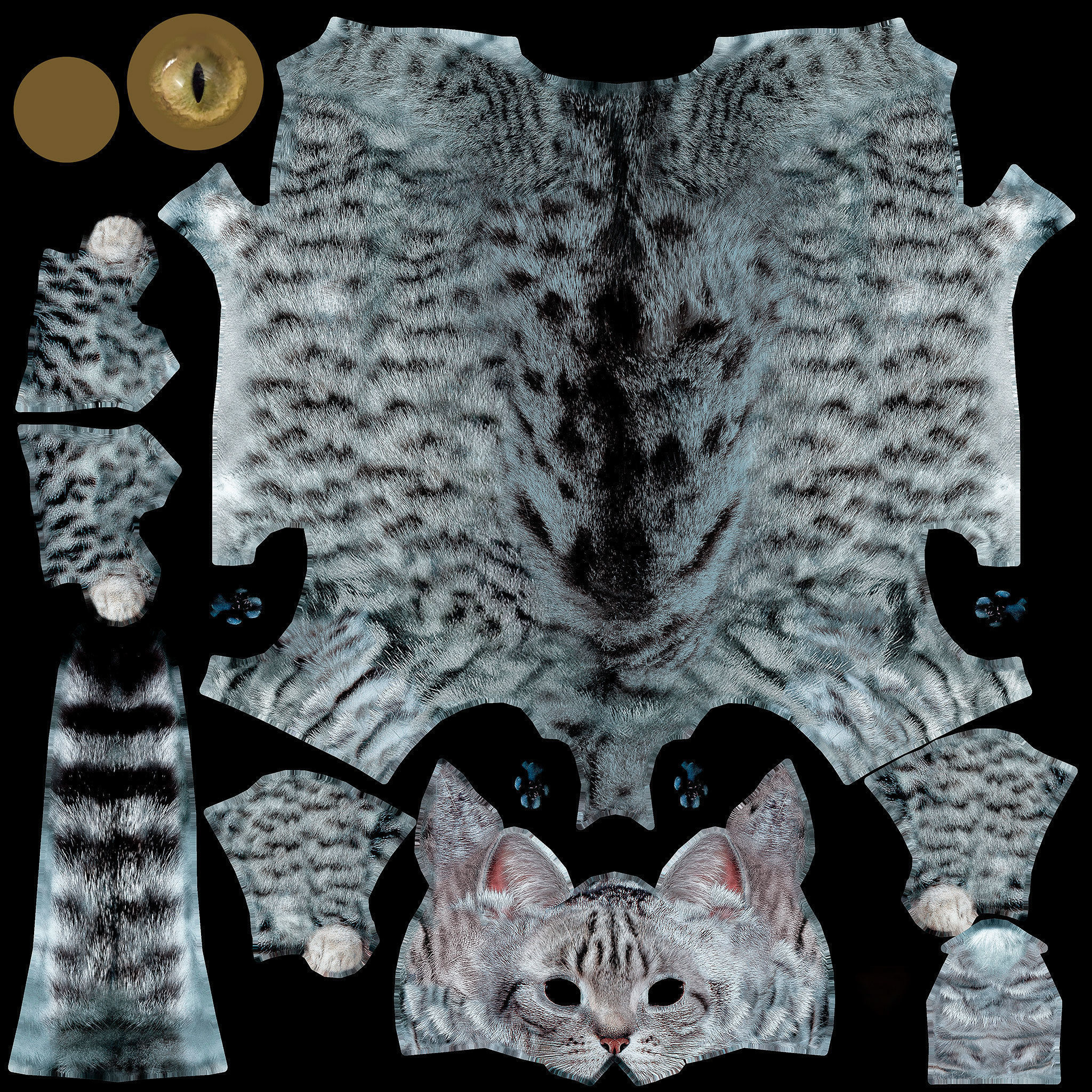Cat - British  Silver Tabby - Young Kitten - Rigged Custom Low-poly 3D model_1