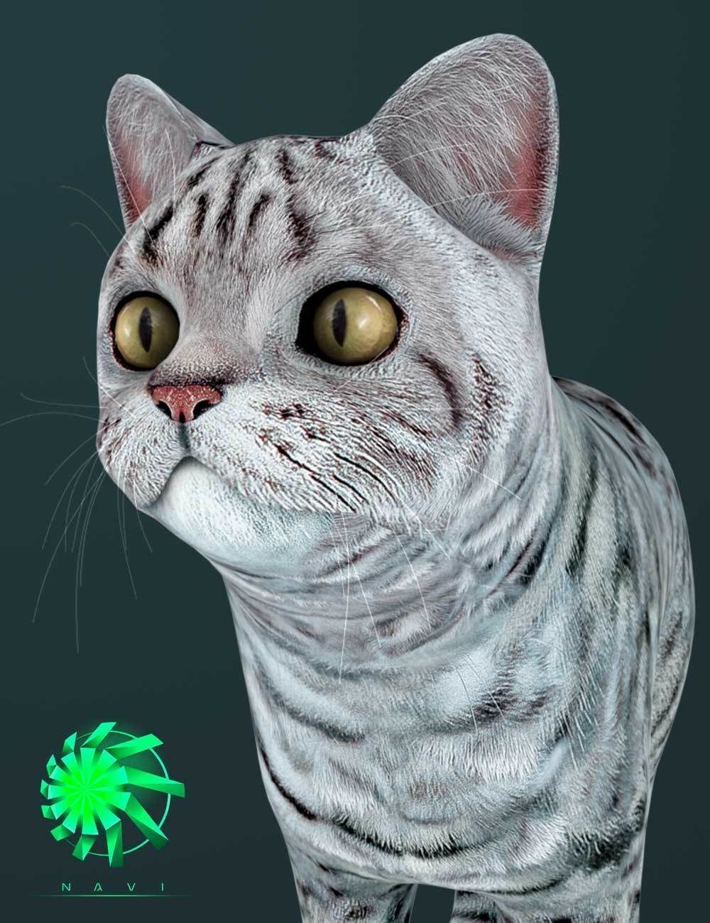 Cat - British  Silver Tabby - Young Kitten - Rigged Custom Low-poly 3D model_3