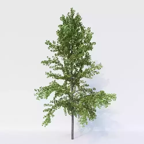 Generic Architectural Trees 