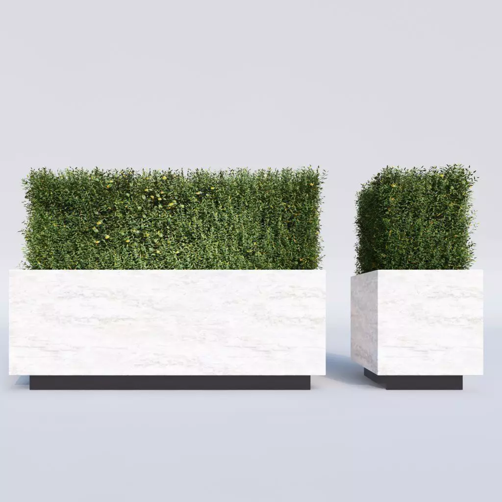 Hedge in a Box 3D model_0