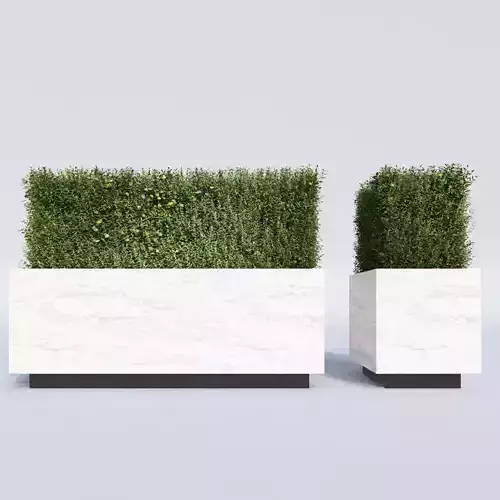 Hedge in a Box 3D model