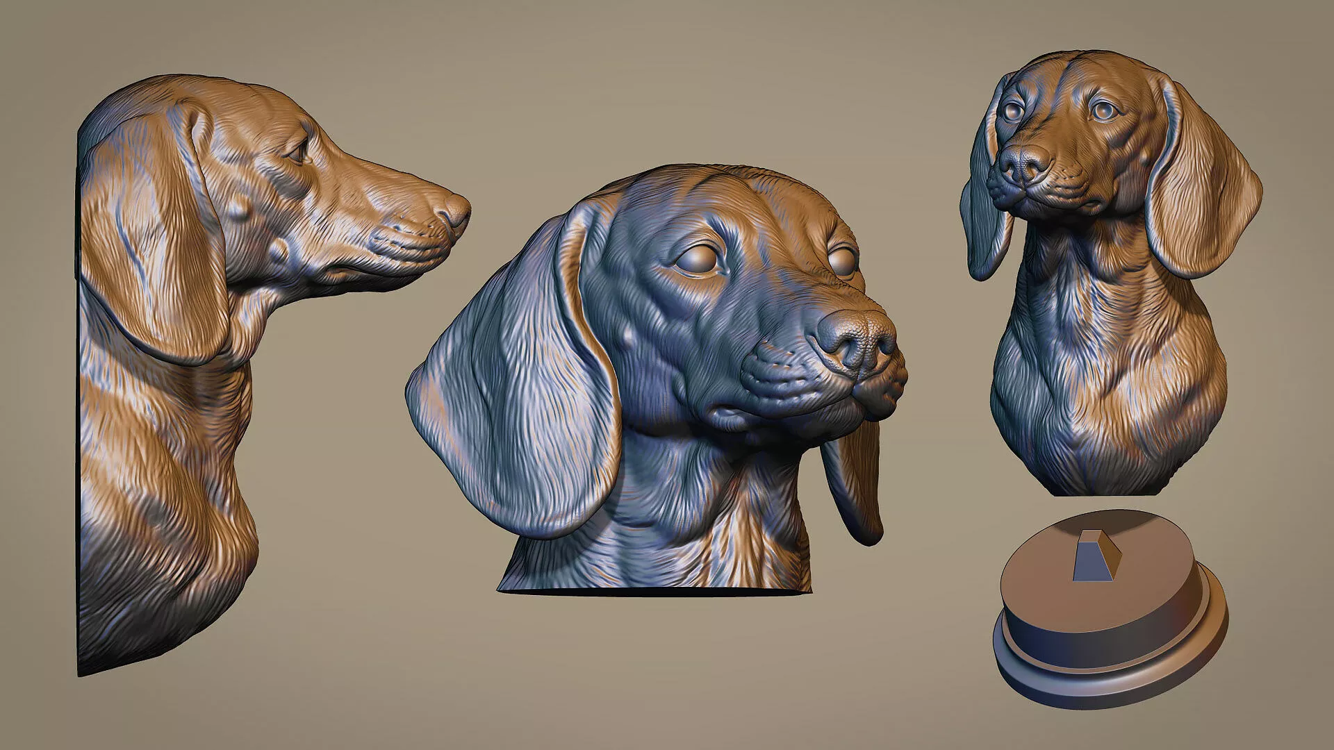 Dachshund dog head 3D print model