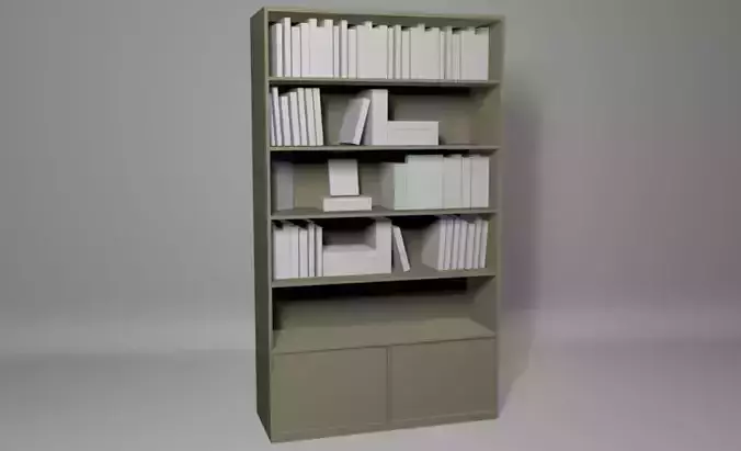 Bookshelf bookcase