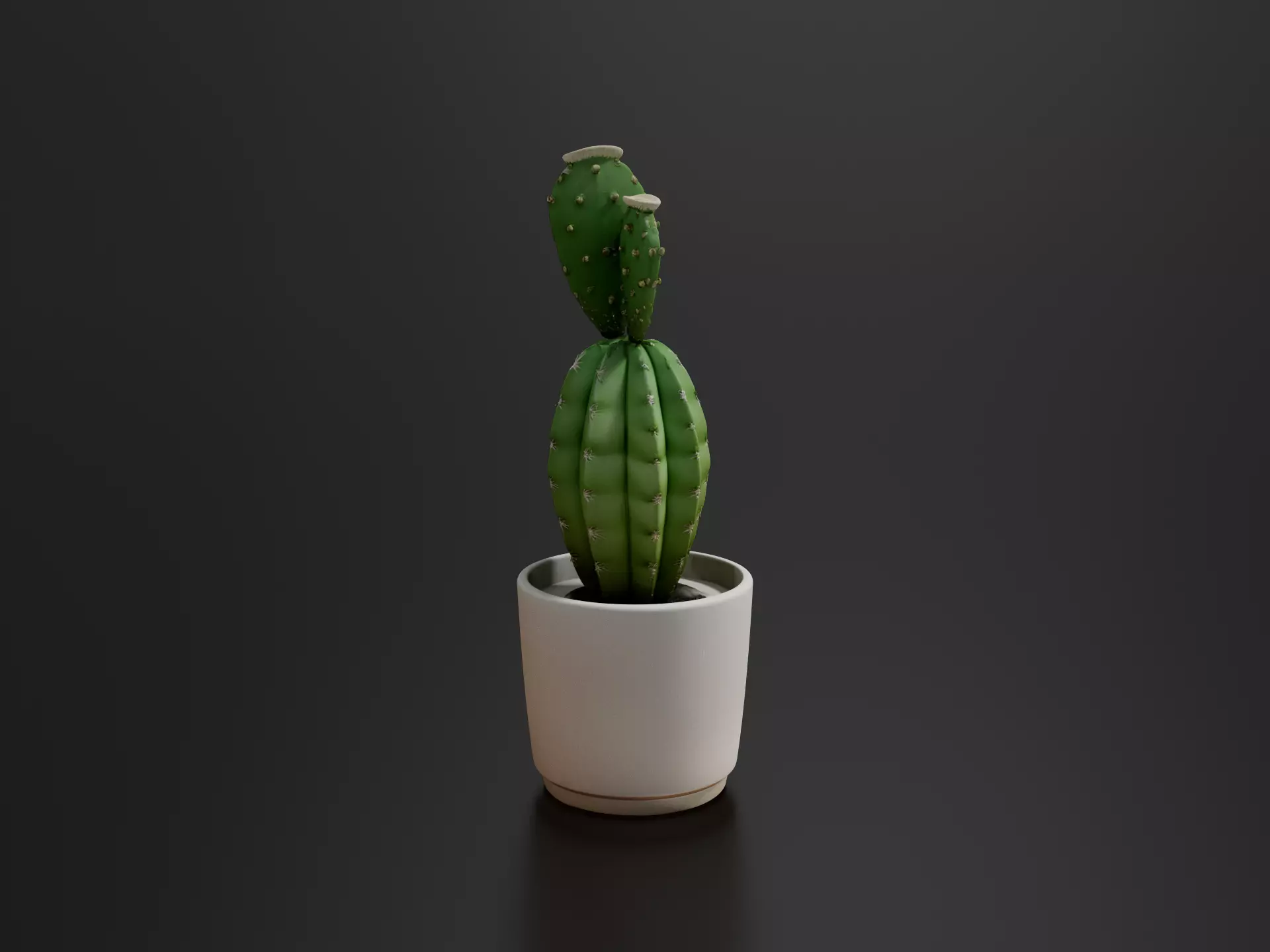 Coofit Cactus 3D print model
