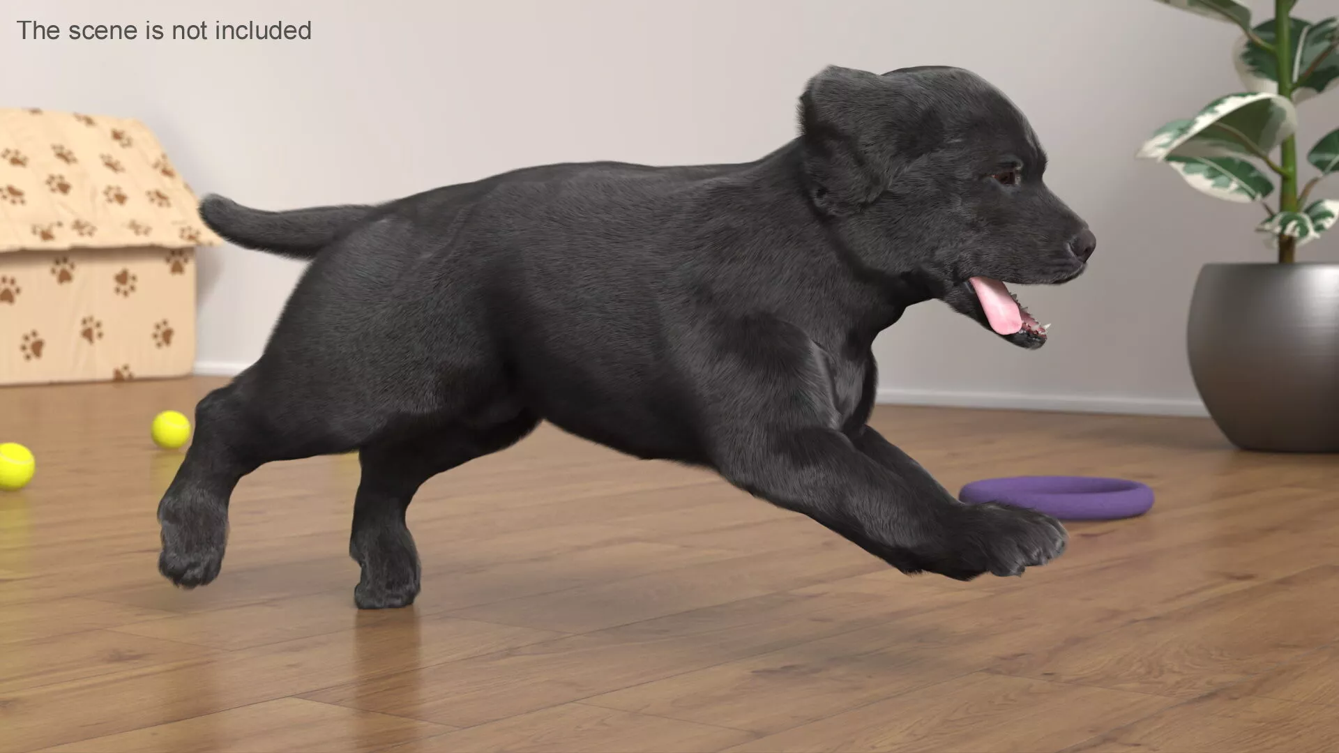 Happy Retriever Puppy Running Fur Animated Rigged 3D model