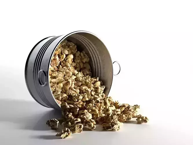 Pumpkin Pie Spice Coconut Oil Granola 3D model