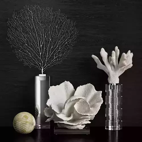 Coral Decor Set