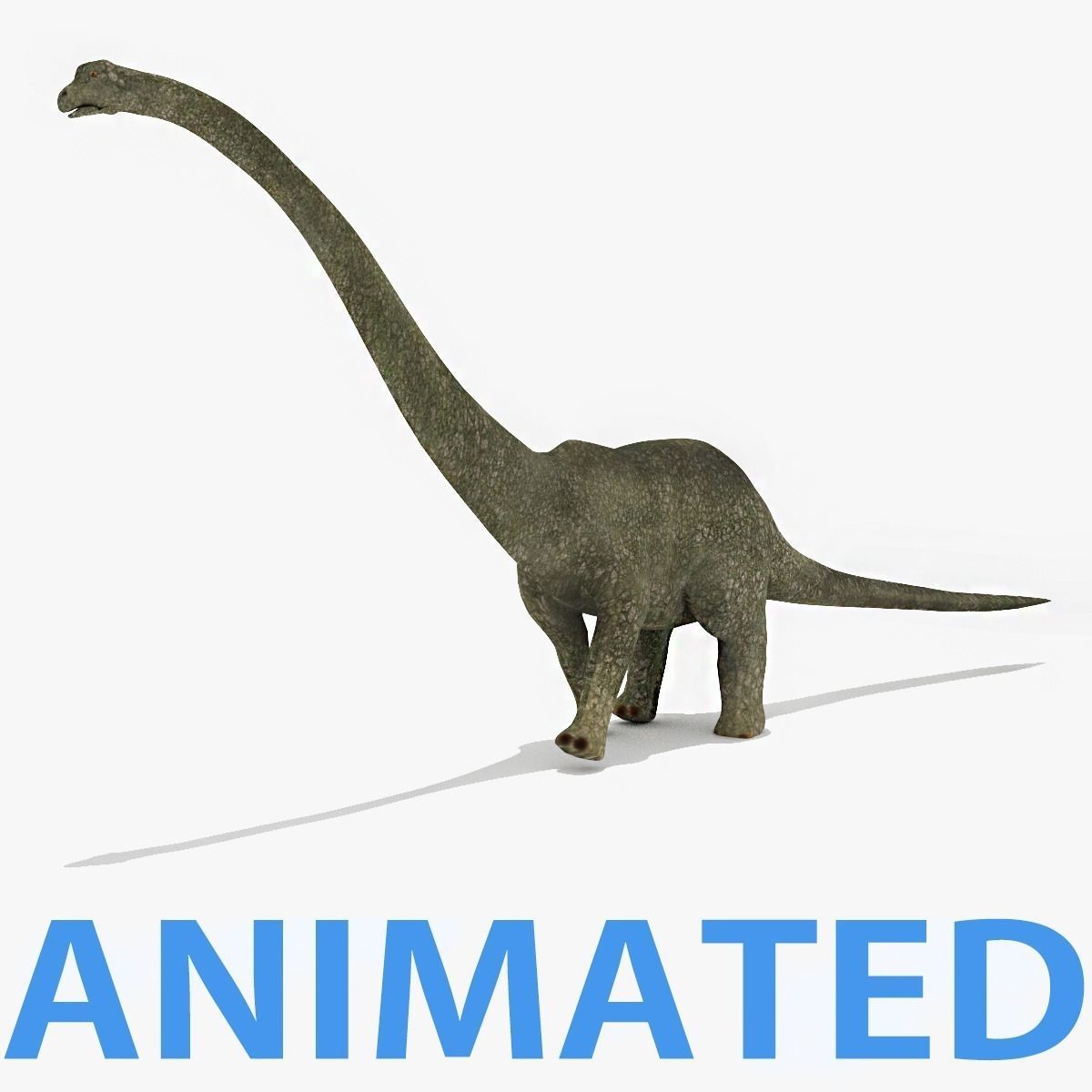 Diplodacus Dinosaur -Animated Low-poly 3D model_0