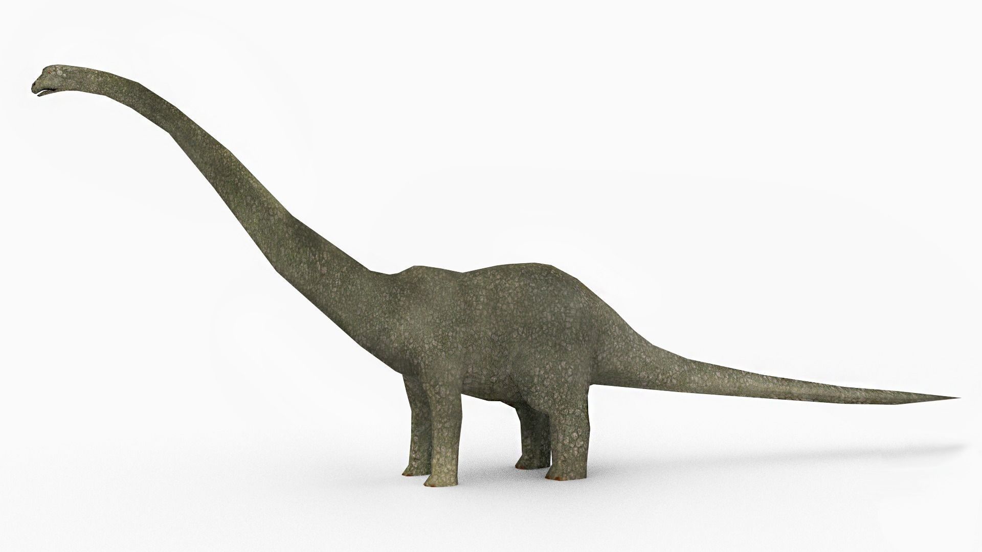 Diplodacus Dinosaur -Animated Low-poly 3D model_3