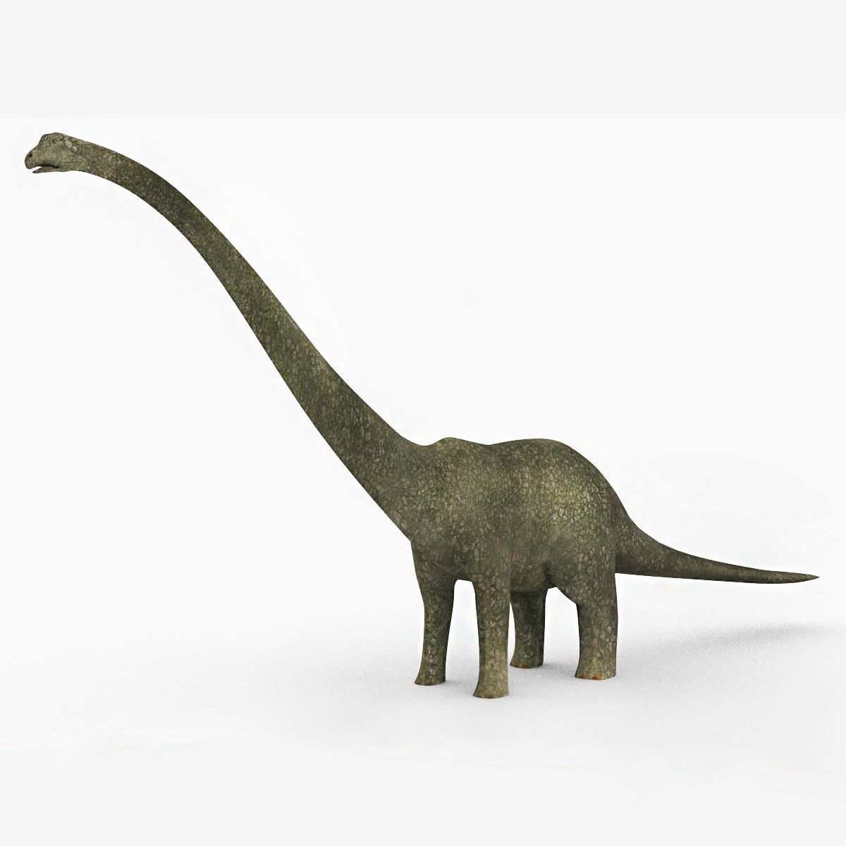 Diplodacus Dinosaur -Animated Low-poly 3D model_2
