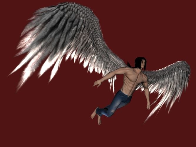  Angel Wings -Wings Only Low-poly 3D model