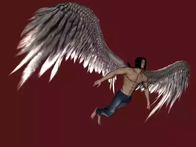 Angel Wings -Wings Only Low-poly 3D model