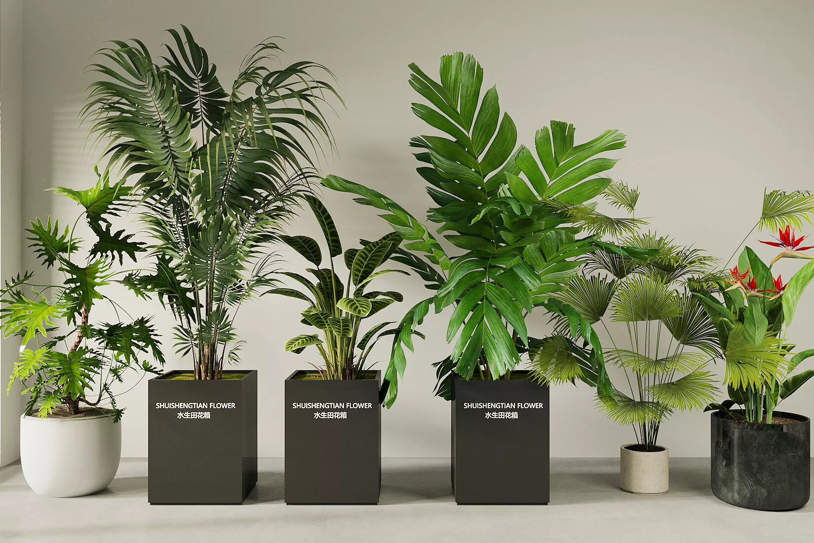 Green Plant Cluster houseplant 3D model