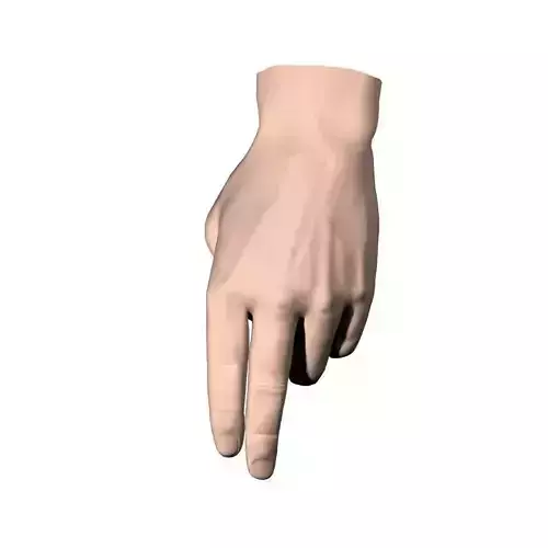 Hand Model 07 3D model