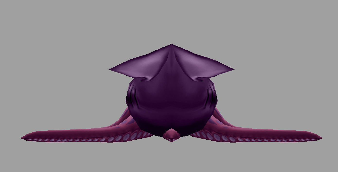 model cuttle 2 octopus Low-poly 3D model_2
