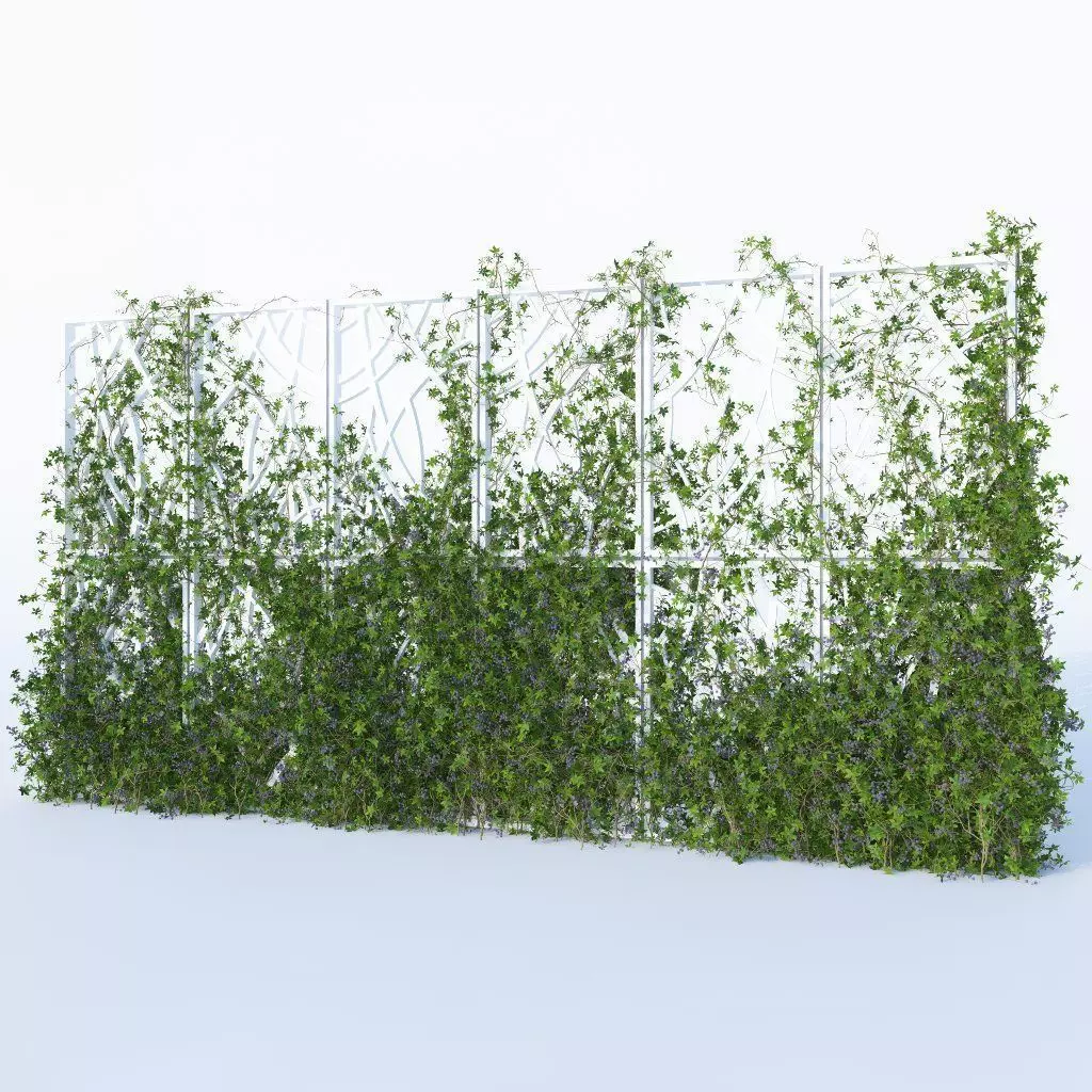 Virginia Creeper  3D model_0
