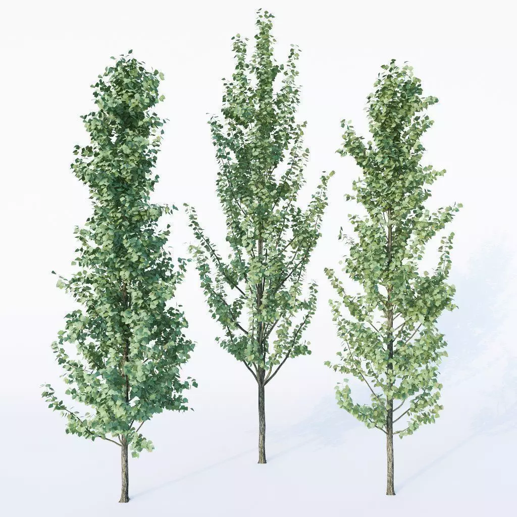 3 Generic Architectural Trees  3D model_0