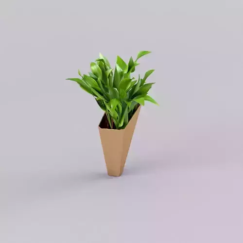 Vase Plant Green for Interior Desk