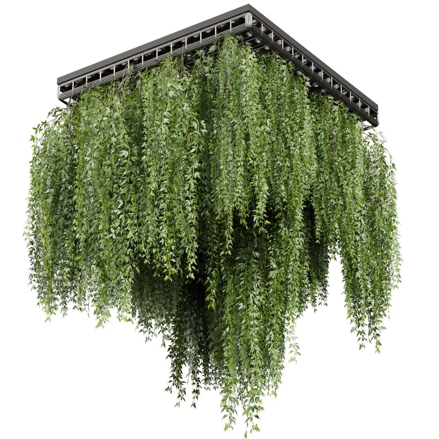 plant vol 906 - ivy - False Ceiling - tileable - hanging 3D model
