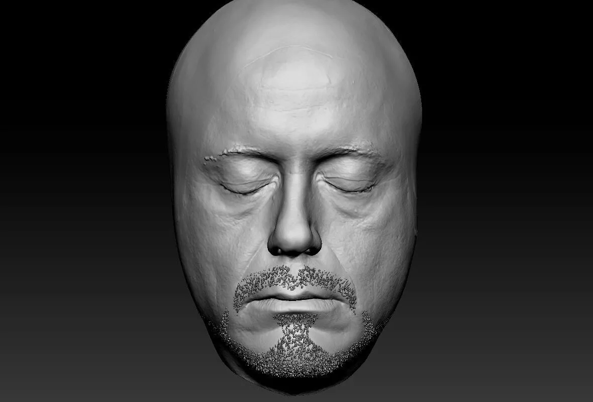 Robert Downey Jr Lifecast 3D Scan Head Tony Stark Iron Man 3D model