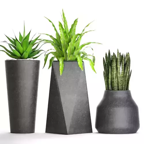 Plants collection pot 3D model