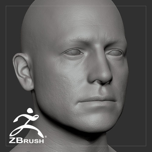 Average Caucasian Male Head Basemesh 3D model