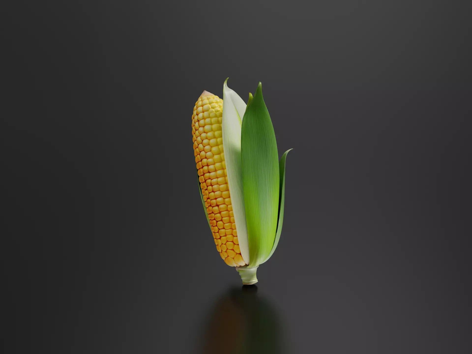 Corn 02 3D print model