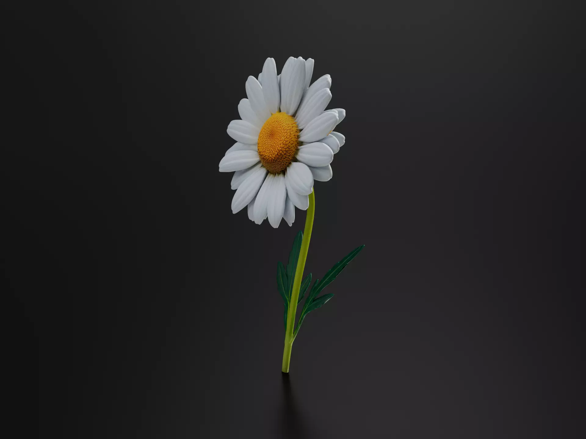 daisy flower 3D print model