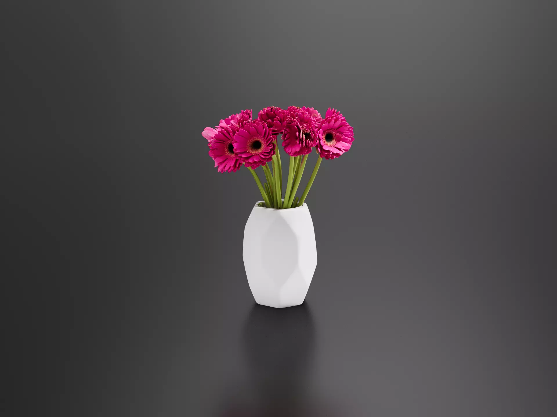 dark pink gerbera daisies 3D print model