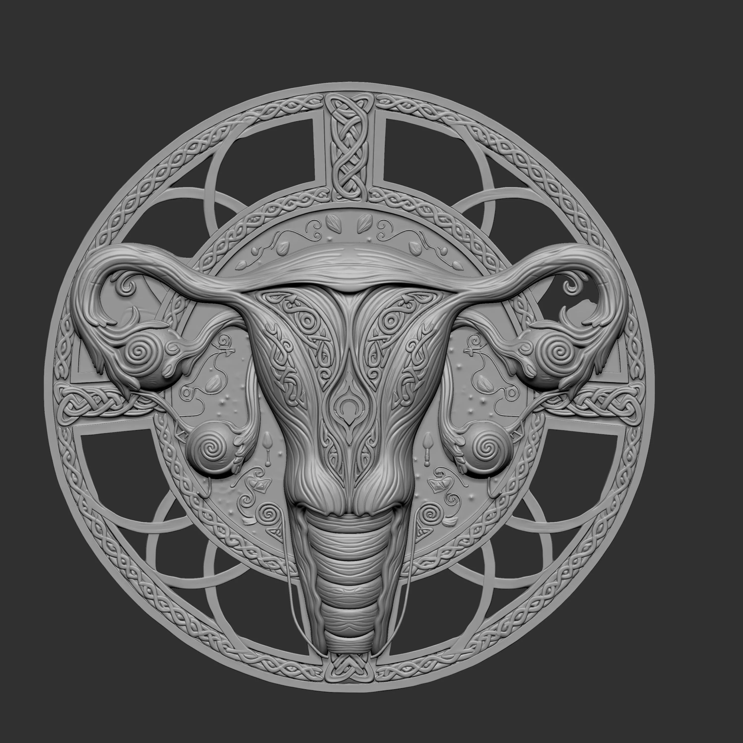 female reproductive system 3D print model
