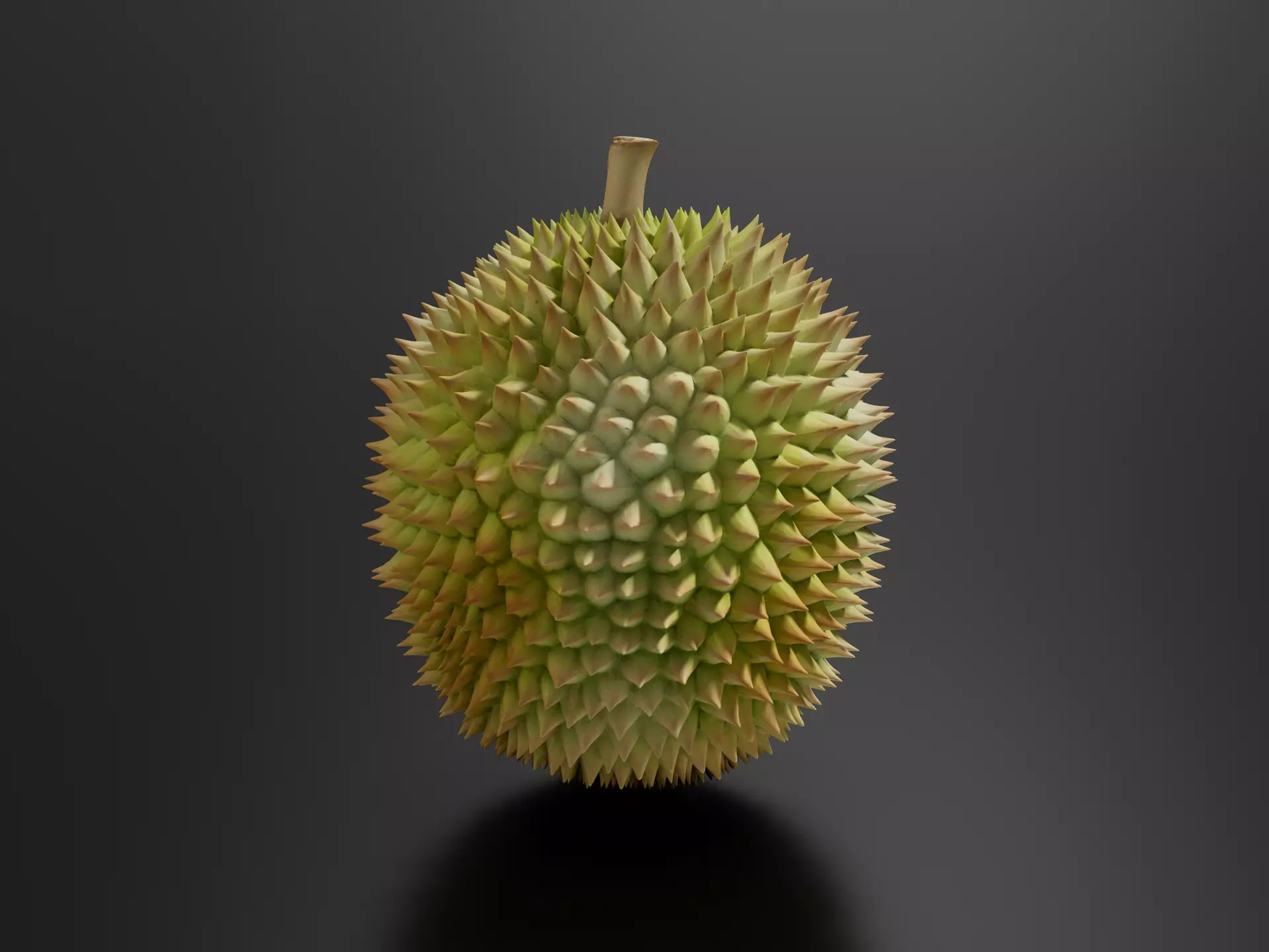 Durian 01 3D print model