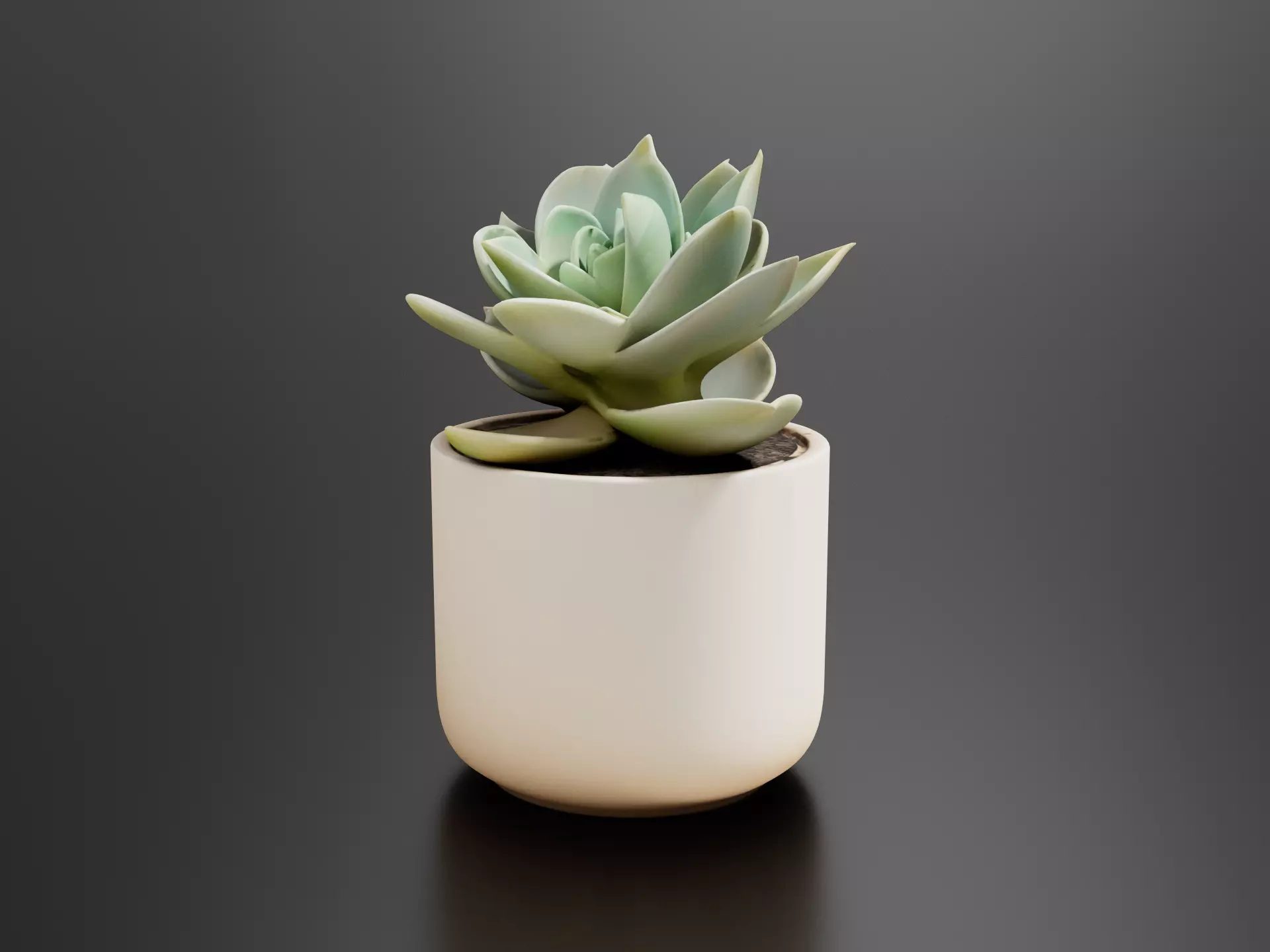 Echeveria Agavoides 3D print model