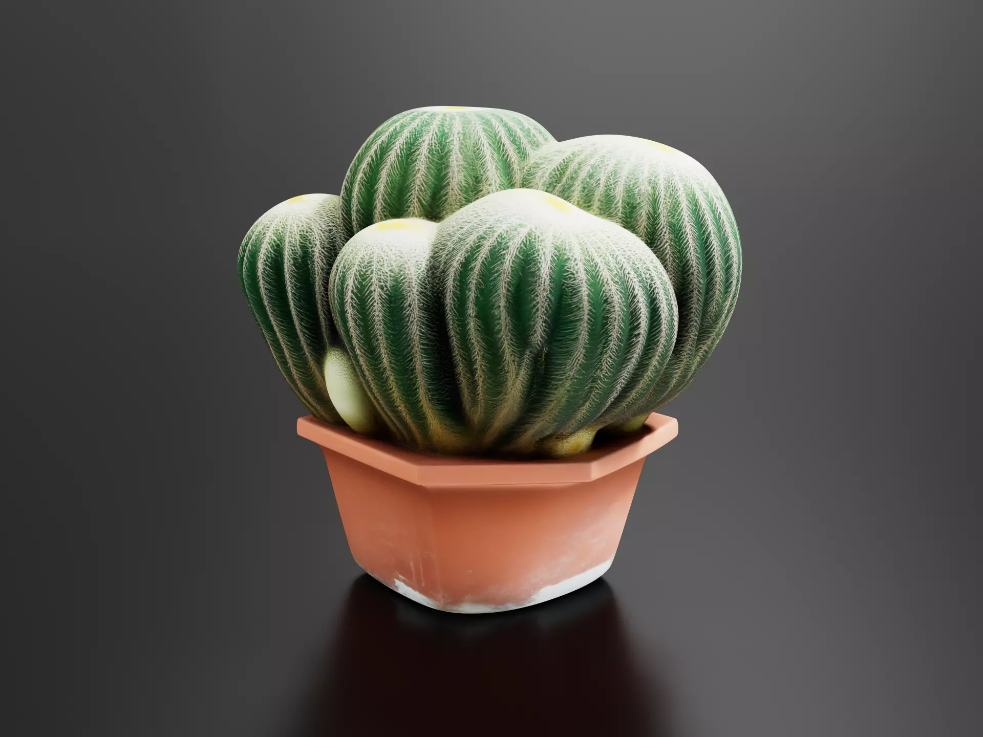 Echino Cactus 3D print model