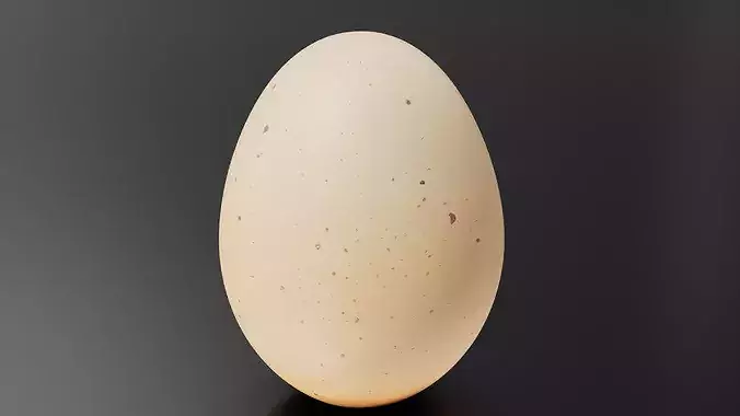 Egg 01 Low-poly 3D model 4