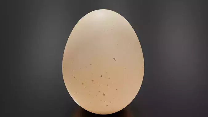 Egg 01 Low-poly 3D model 5