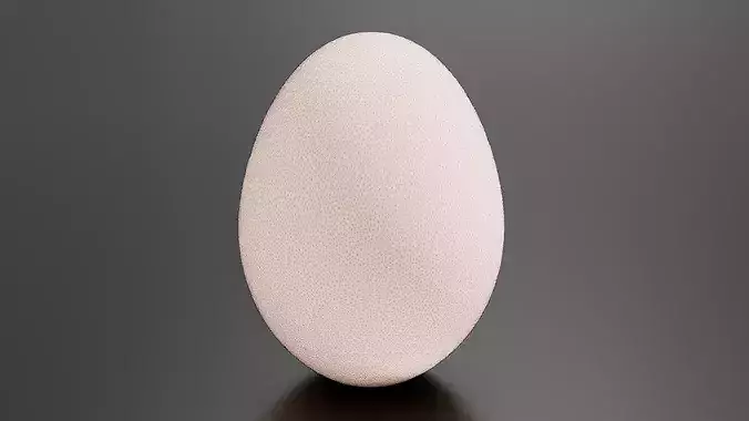 Egg 01 Low-poly 3D model 7