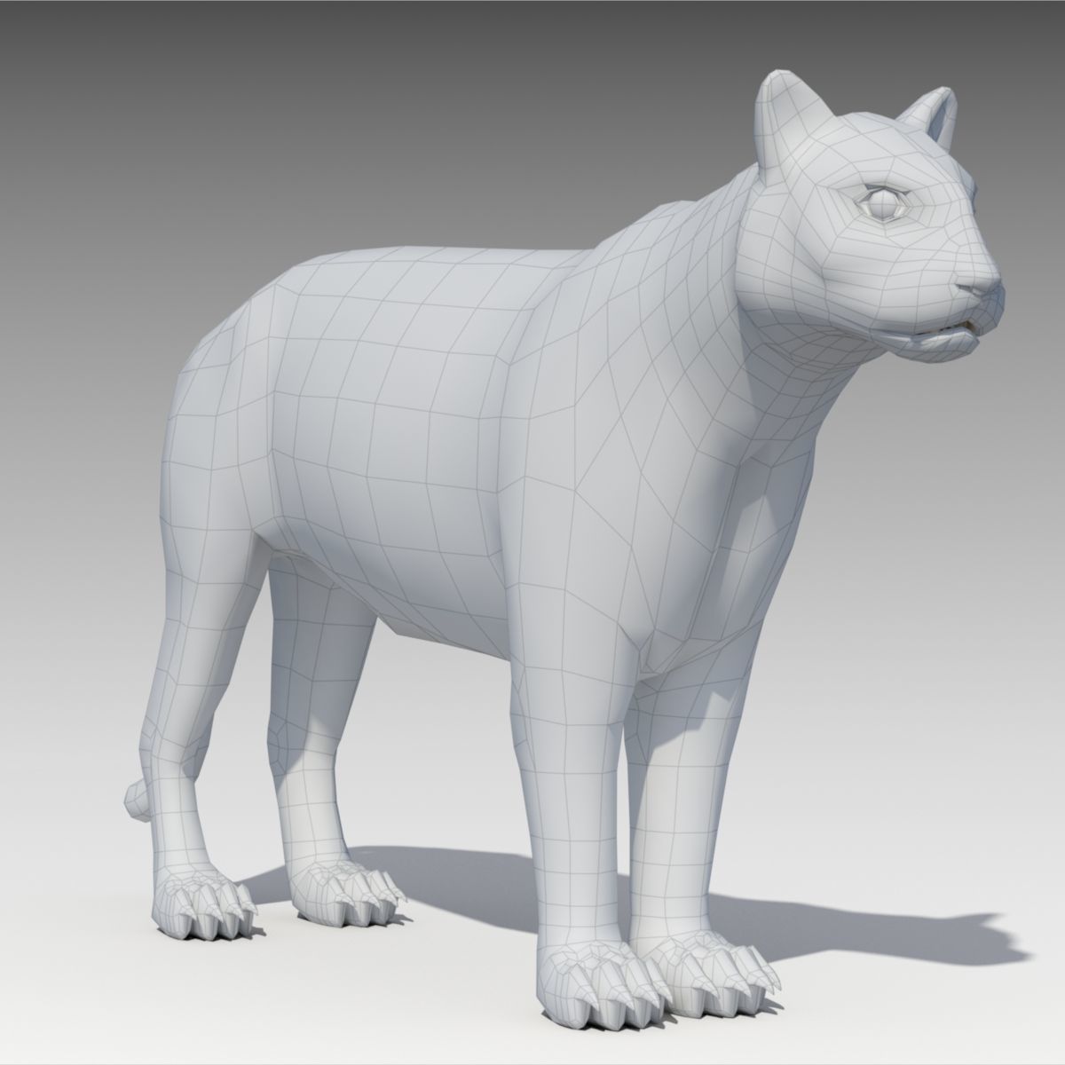 Cougar Animated Low-poly 3D model_7