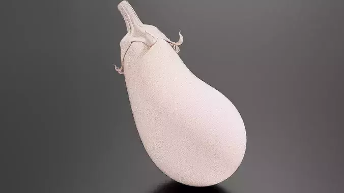 Eggplant 02 3D print model 7