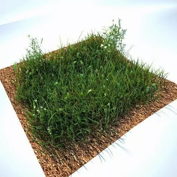 Grass Kit V2 for CInema 4D and Vray Free 3D model_0