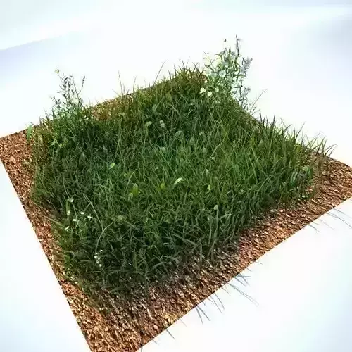 Grass Kit V2 for CInema 4D and Vray Free 3D model